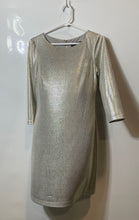 Load image into Gallery viewer, Jessica Howard Womens Silver Metallic Long Sleeve Back-Zip A-Line Dress Size 6
