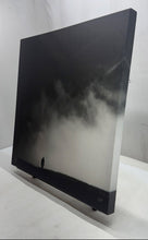 Load image into Gallery viewer, Decorative Wall Hanging Framed White Black Silent Walk Art Painting By Rau Jala
