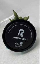 Load image into Gallery viewer, Q Fig Max DC Comics Multicolor Aquaman Vinyl Action Figure In Box
