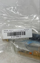 Load image into Gallery viewer, Home Decorative Piece Consists Of A Replica Of A Sailfish Inside A Glass Bottle
