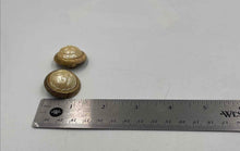 Load image into Gallery viewer, Authentic Givenchy Women's Gold Tone Earrings
