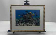 Load image into Gallery viewer, Green Sea Turtle-Butterfly Fish Wall Art Print for Home Decor

