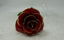 Load image into Gallery viewer, Home Decor Gilded Red Rose Keepsake Gold-Tone Trim With Gift Box
