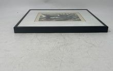 Load image into Gallery viewer, Europe Art Frame Fish Cheryl M Hausman Signed Frame Wall Decor Art Painting
