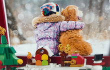 Load image into Gallery viewer, Set Of 209 Pcs Lego 40702 Christmas Picture Frame Limited Edition Factory Sealed
