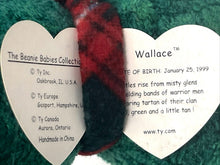 Load image into Gallery viewer, Ty Beanie Baby Wallace The Bear Green 1999 Framed Teddy Bear With Tags
