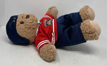 Load image into Gallery viewer, NHL Multicolor Florida Panthers Teddy Bear Plush Stuffed Toys
