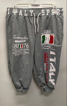 Load image into Gallery viewer, No Brand Mens Gray Flat Front Knee-Length Tapered Leg Jogger Pants Size L
