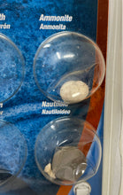 Load image into Gallery viewer, Toys Rus Edu Science Collectibles Collection Authentic Fossil Kit
