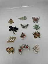 Load image into Gallery viewer, Pins Or Brooches Multicolored (12 Pcs)
