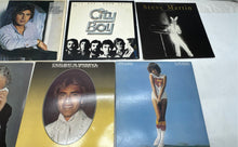 Load image into Gallery viewer, Mixed Variety Of 10 Pieces Various Genres LP Vinyl Records With Cover
